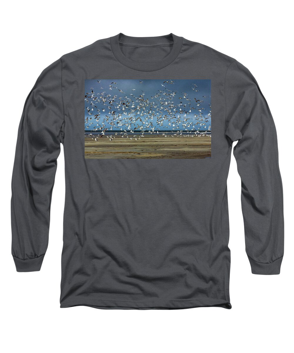 North Carolina Long Sleeve T-Shirt featuring the photograph Lots and Lots of Seagulls by Dan Carmichael