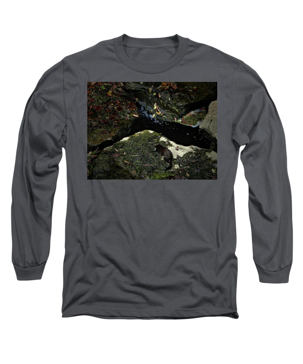 Lunch Time Long Sleeve T-Shirt featuring the photograph Lunch Time by Cyryn Fyrcyd