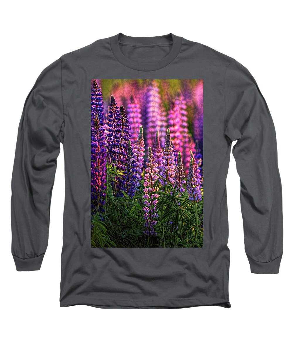 Lupines Long Sleeve T-Shirt featuring the photograph Lupines Sidelit By First Sunlight by Marty Saccone