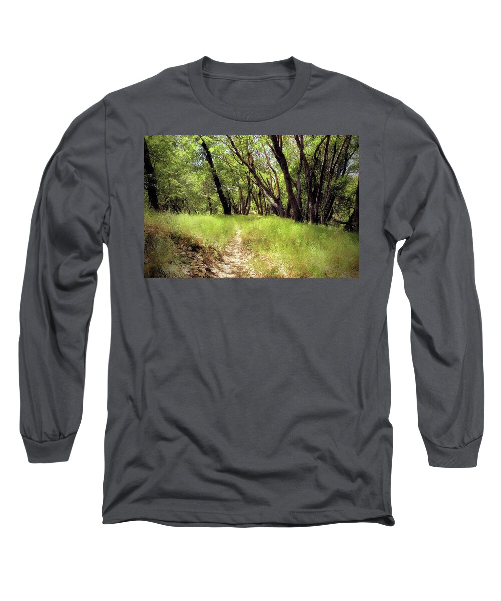 Madrone Forest Long Sleeve T-Shirt featuring the photograph Madrone Trail by John Parulis