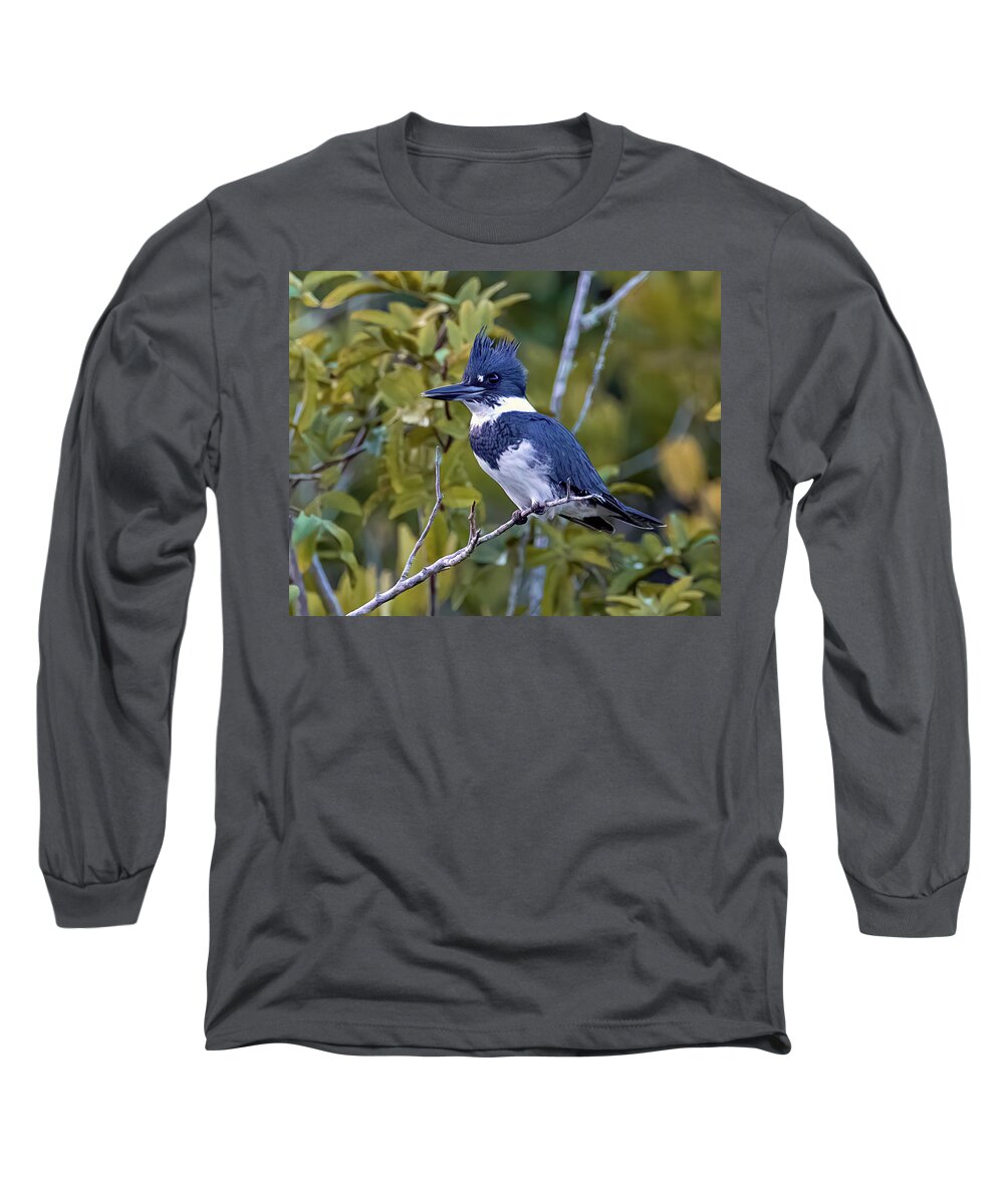Male Belted Kingfisher Long Sleeve T-Shirt featuring the photograph Male Belted Kingfisher by Jaki Miller