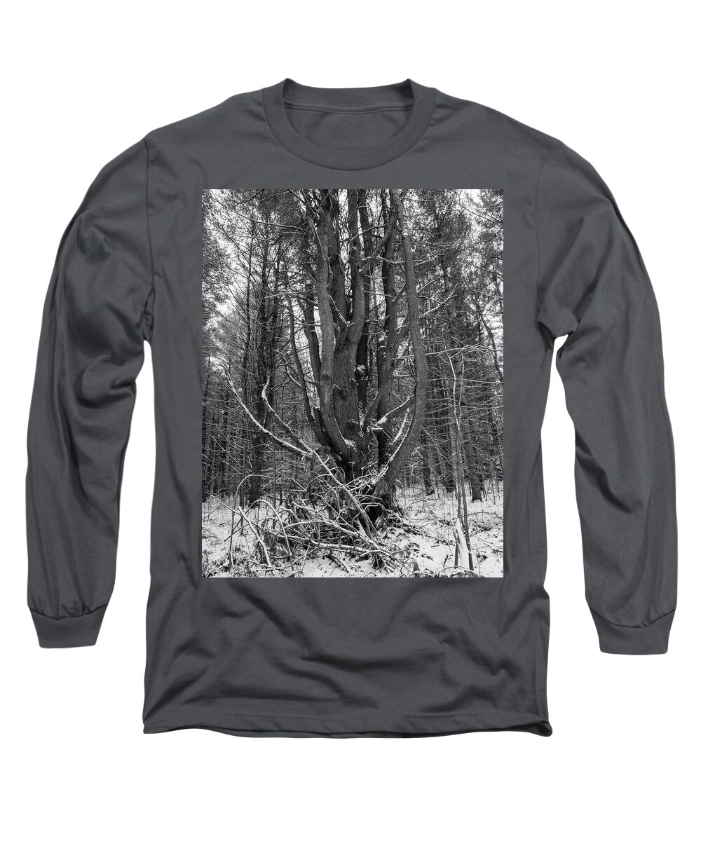Mangled Fir Tree In Simcoe Forest Long Sleeve T-Shirt featuring the photograph Mangled Tree by James Canning