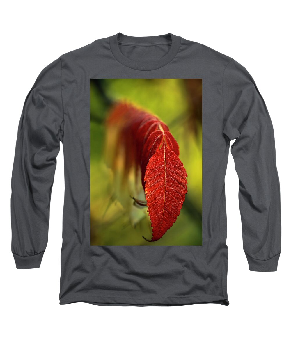 Autumn Long Sleeve T-Shirt featuring the photograph Marching Sumacs by Irwin Barrett