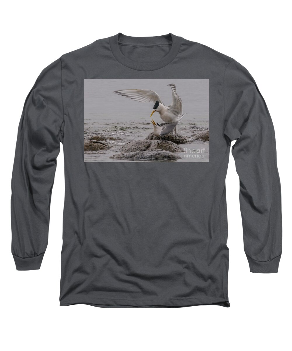 Bird Long Sleeve T-Shirt featuring the photograph Mating Pair 2 by Werner Padarin