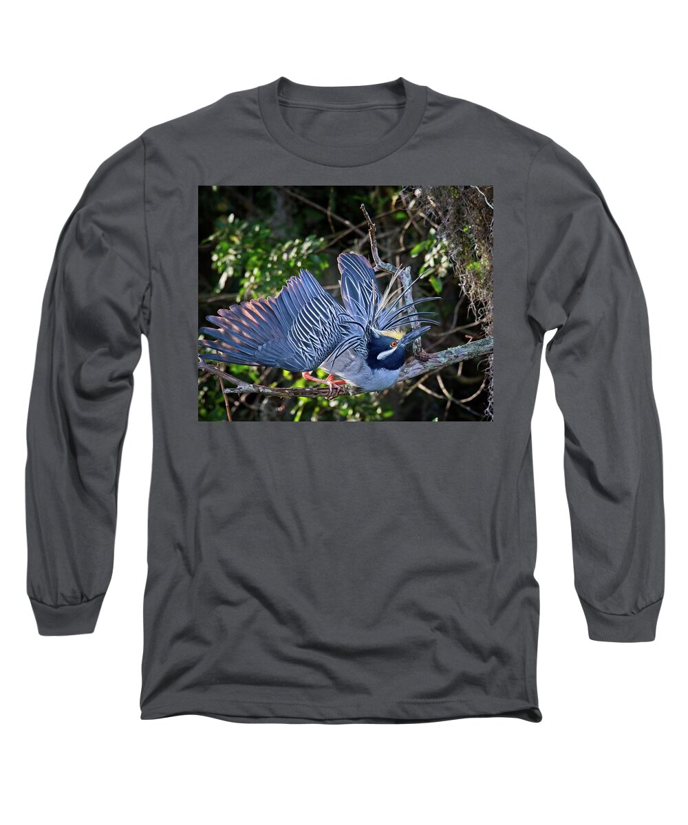 Avian Long Sleeve T-Shirt featuring the photograph Mating Yellow Crowned Night Heron by Ronald Lutz