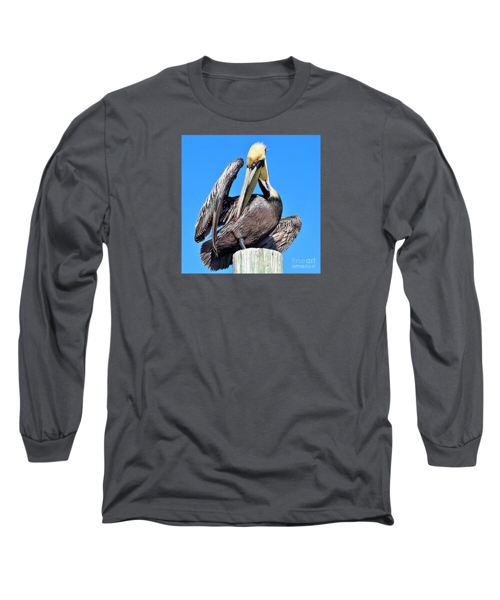 Pelican Long Sleeve T-Shirt featuring the photograph Brown pelican sunning and preening by Joanne Carey