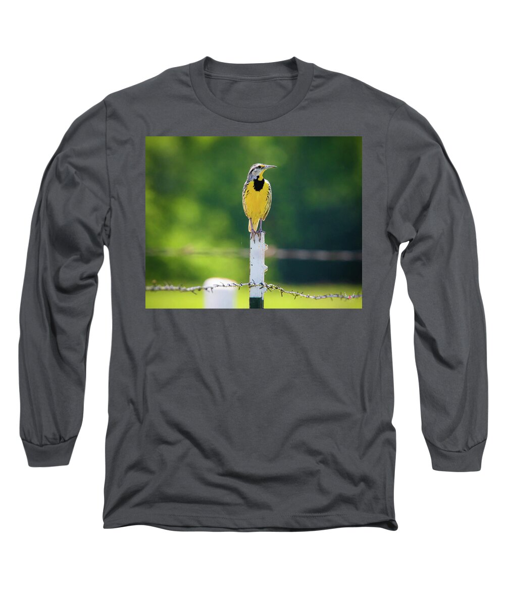 Meadowlark Long Sleeve T-Shirt featuring the photograph Meadowlark by Pam Rendall