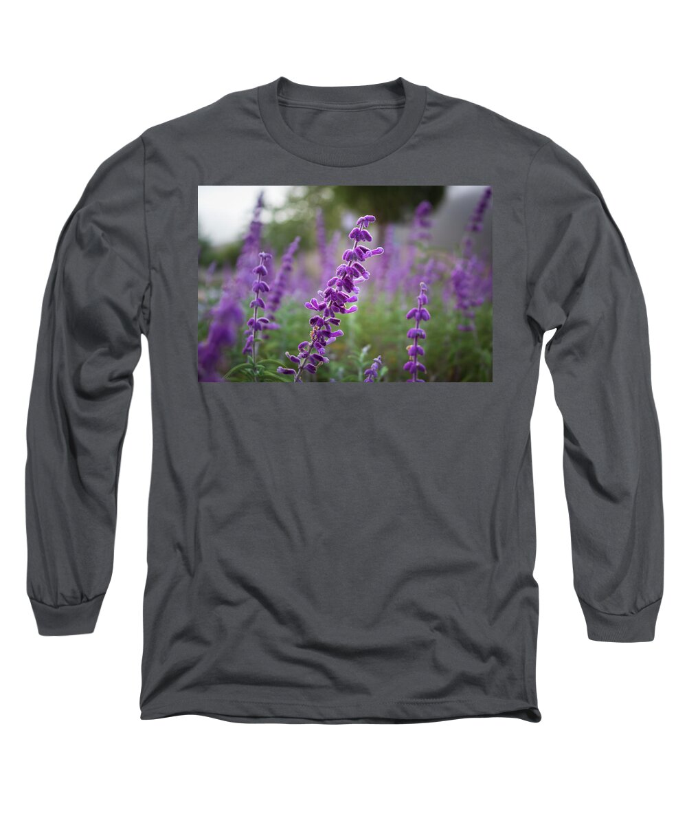 Sage Long Sleeve T-Shirt featuring the photograph Mexican Bush Sage by Alison Frank