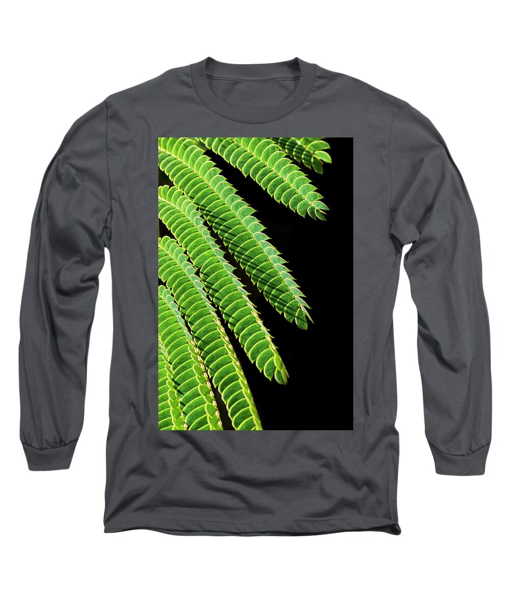 Mimosa Long Sleeve T-Shirt featuring the photograph Mimosa Leaves Against Black by Bob Decker