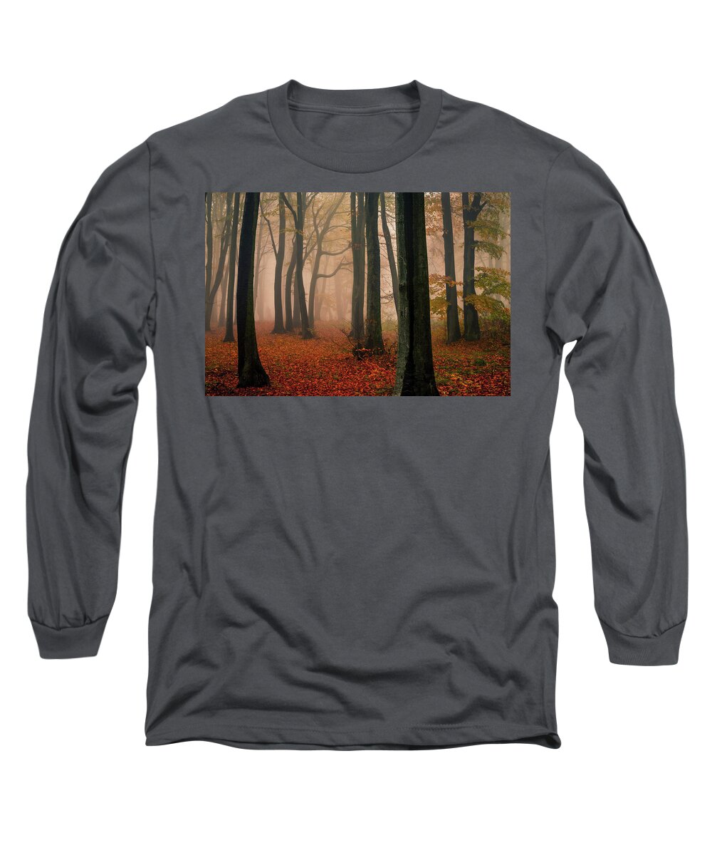 Balkan Mountains Long Sleeve T-Shirt featuring the photograph Misty Autumn Forest by Evgeni Dinev