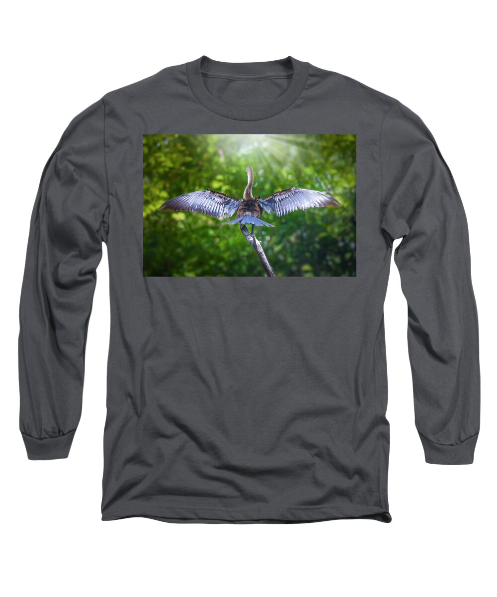 Anhinga Long Sleeve T-Shirt featuring the photograph Morning Meditation by Mark Andrew Thomas