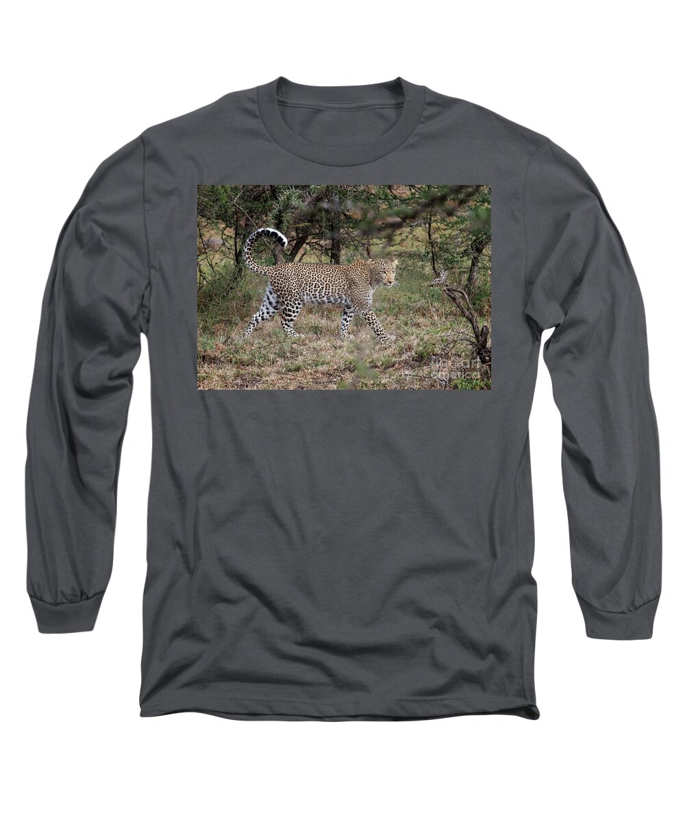 Animals Long Sleeve T-Shirt featuring the photograph Movin' On by Sandra Bronstein