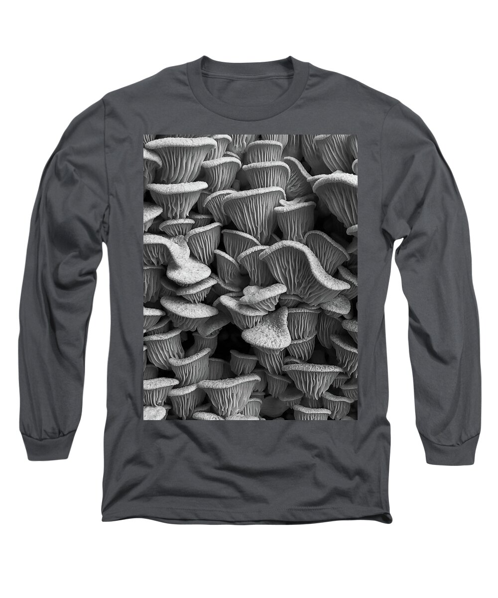 Mountain Long Sleeve T-Shirt featuring the photograph Mushroom Layers by Go and Flow Photos