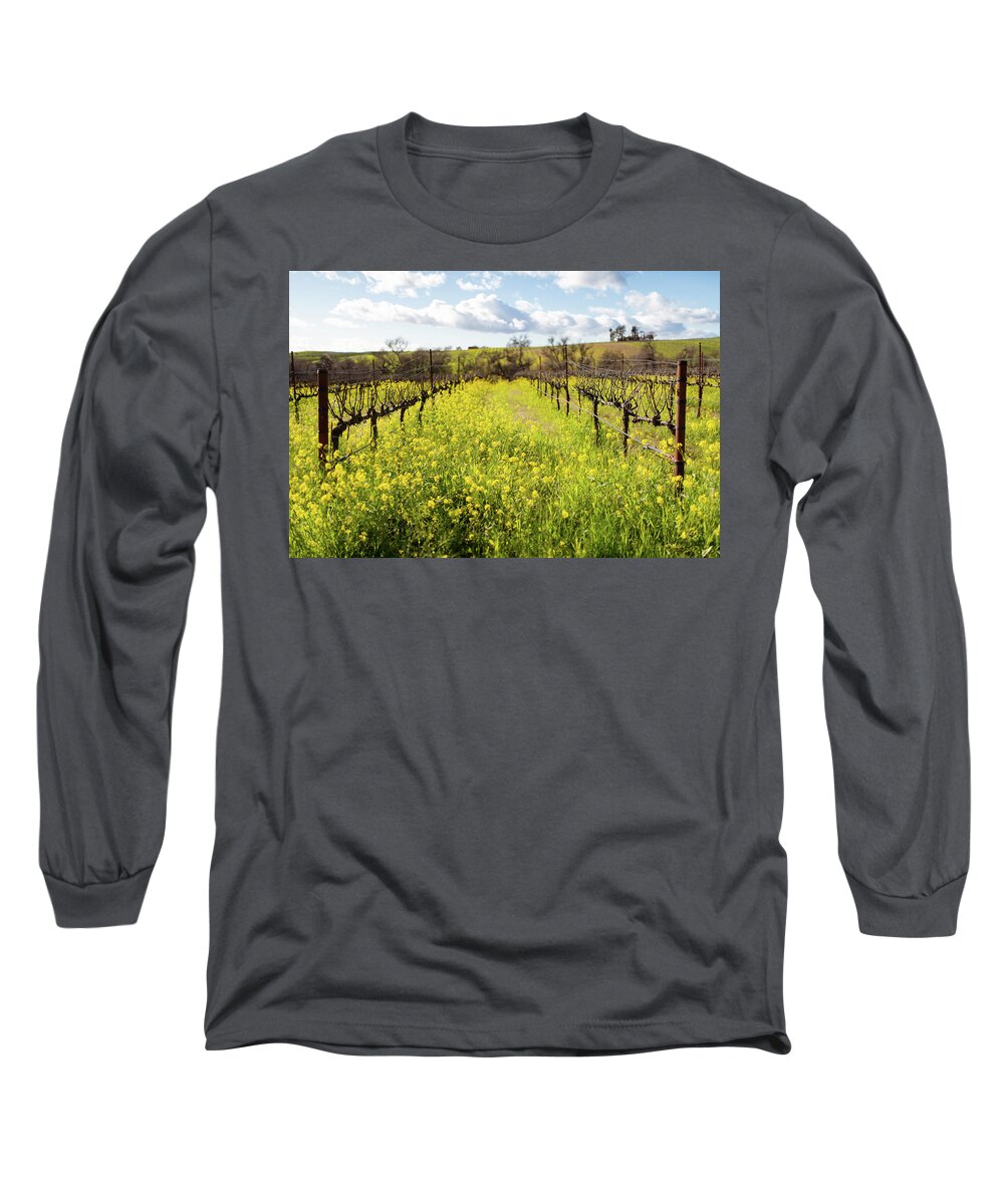 Mustard Long Sleeve T-Shirt featuring the photograph Napa Valley Mustard by Aileen Savage