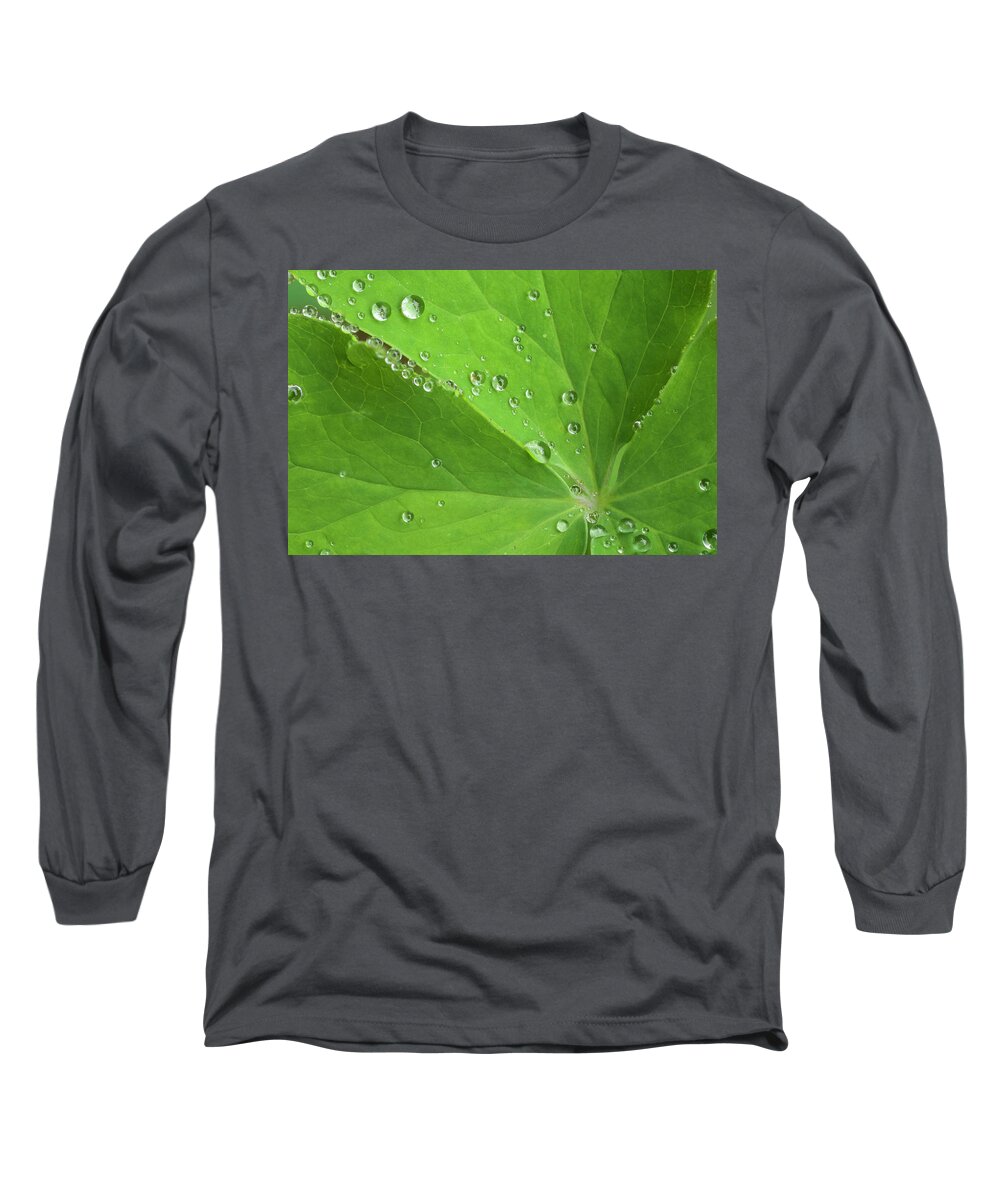 Flora Long Sleeve T-Shirt featuring the photograph Nature's Beading by Melissa Southern