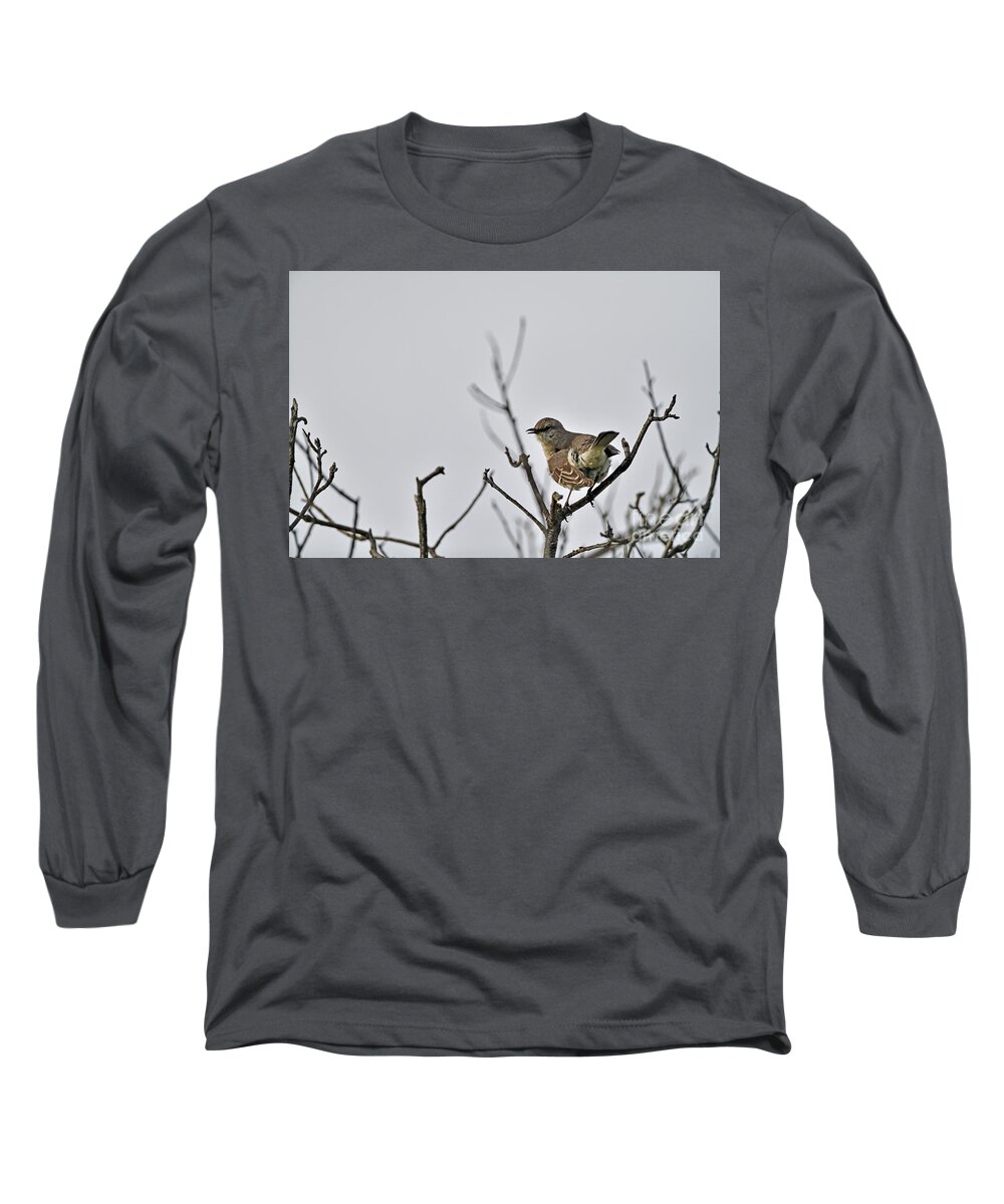 Mimus Polyglottos Long Sleeve T-Shirt featuring the photograph Northern Mockingbird by Amazing Action Photo Video