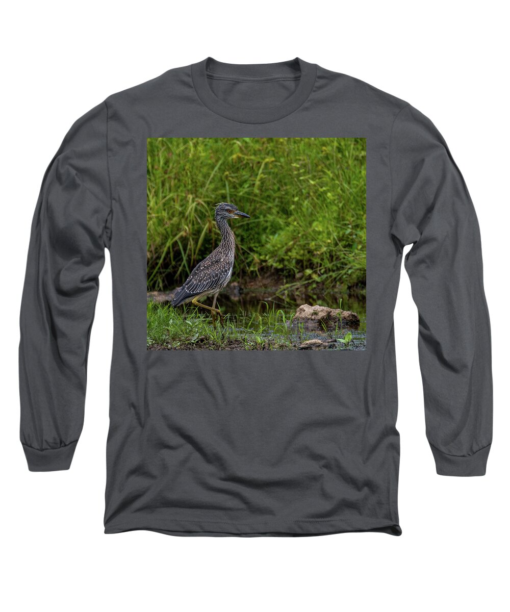 Animals Long Sleeve T-Shirt featuring the photograph On the Hunt by Brian Shoemaker