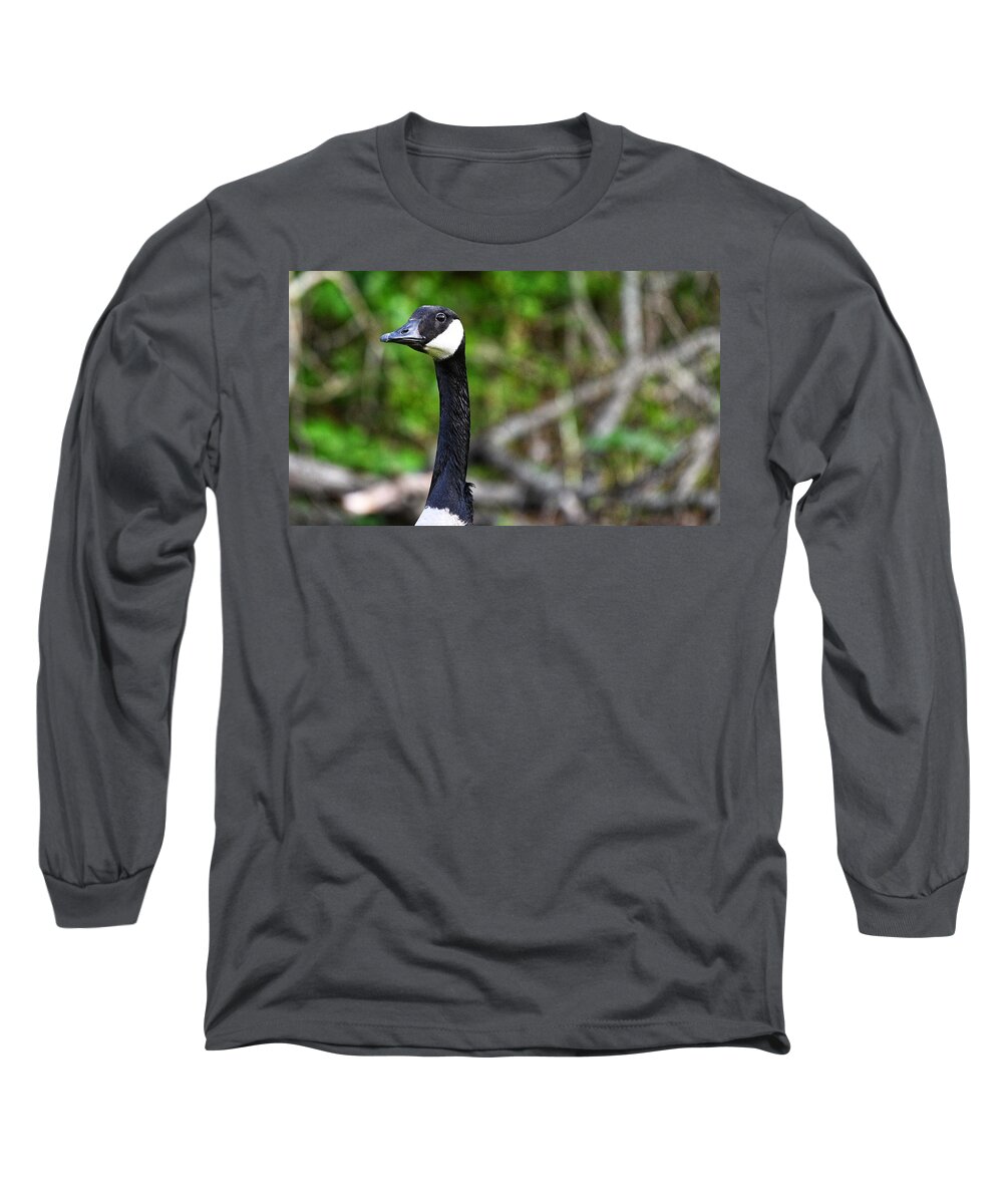 Goose Long Sleeve T-Shirt featuring the photograph On the Lookout by Evan Foster