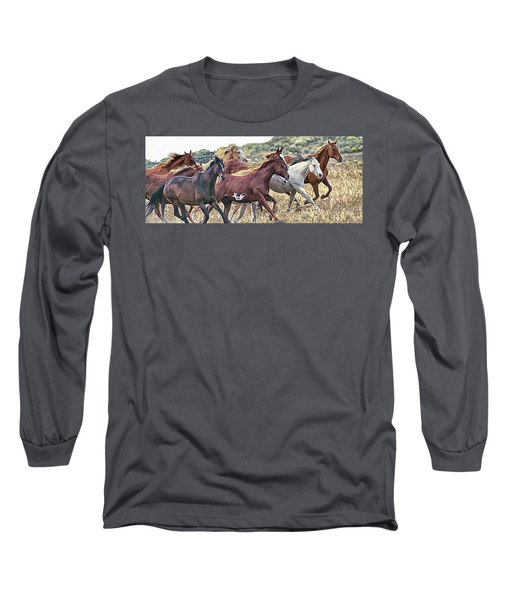 Horses Long Sleeve T-Shirt featuring the photograph On The Run Color by Don Schimmel