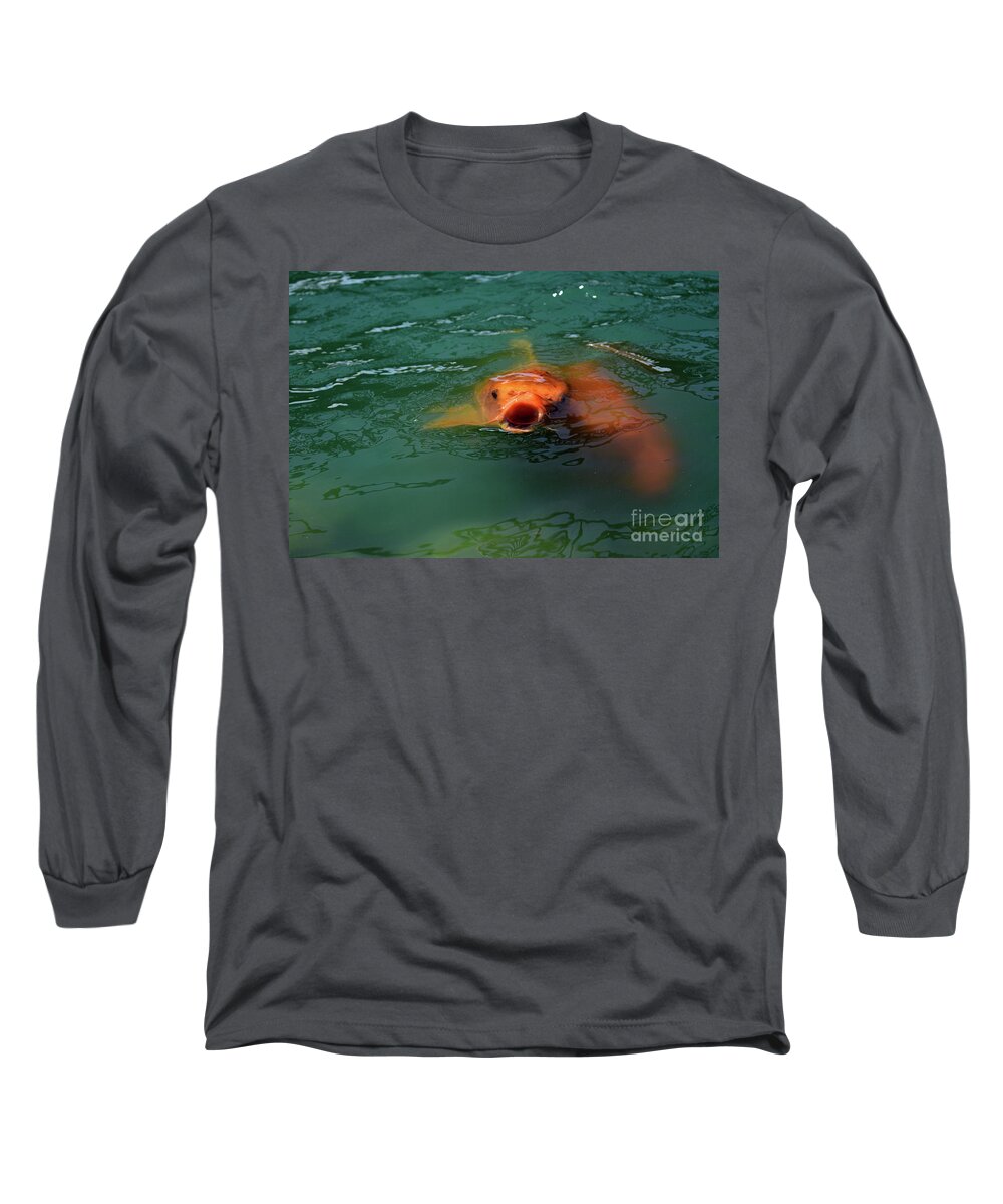 Fish Long Sleeve T-Shirt featuring the photograph Surprised Koi by Bailey Maier