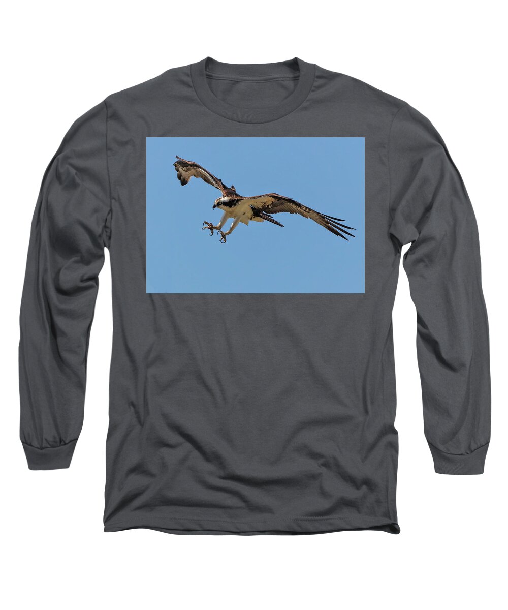 Ospray Bird Long Sleeve T-Shirt featuring the photograph Ospray3a by John Linnemeyer