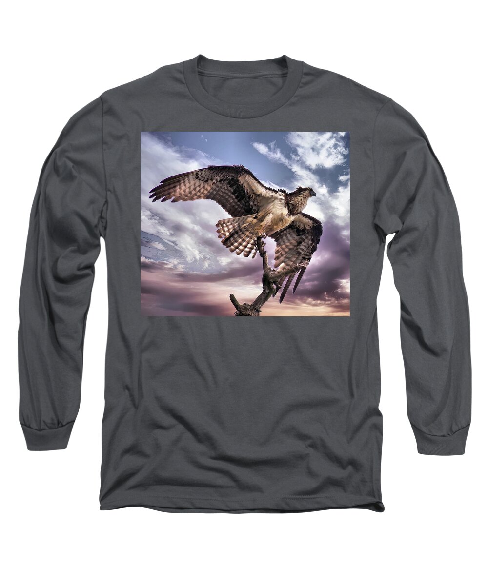 Osprey Long Sleeve T-Shirt featuring the photograph Osprey Tree by Buddy Scott