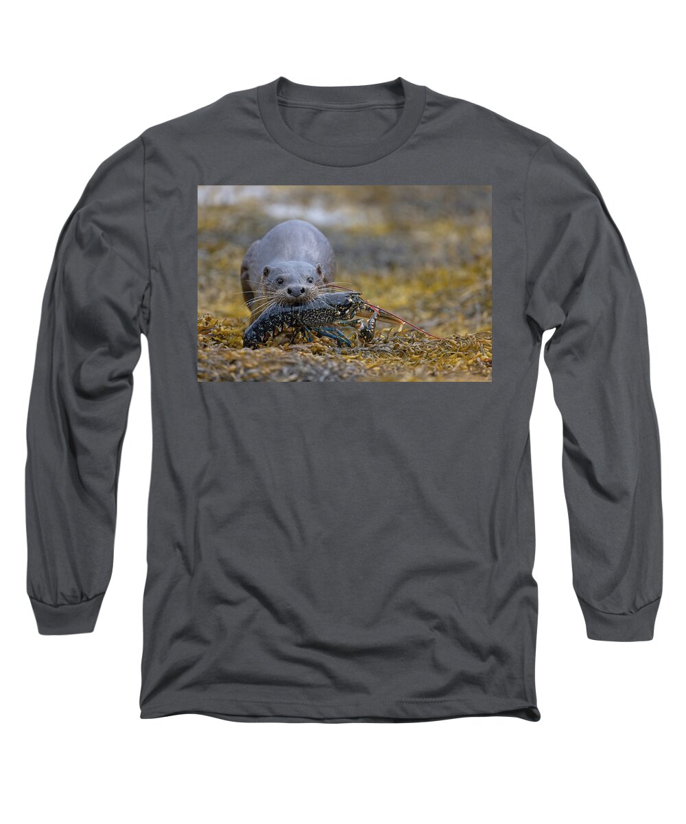 Eurasian Long Sleeve T-Shirt featuring the photograph Otter Bringing Ashore A Lobster by Pete Walkden