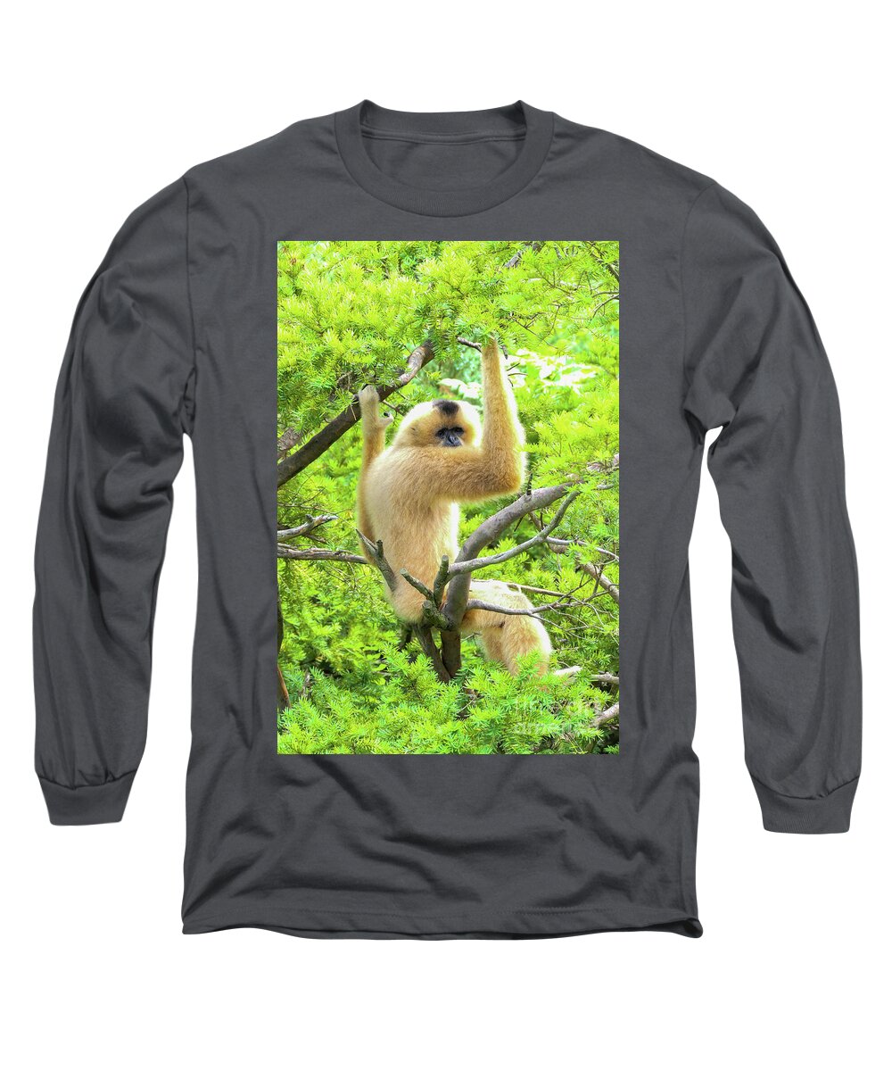 Gibbon Long Sleeve T-Shirt featuring the photograph Over the shoulder look by Bentley Davis