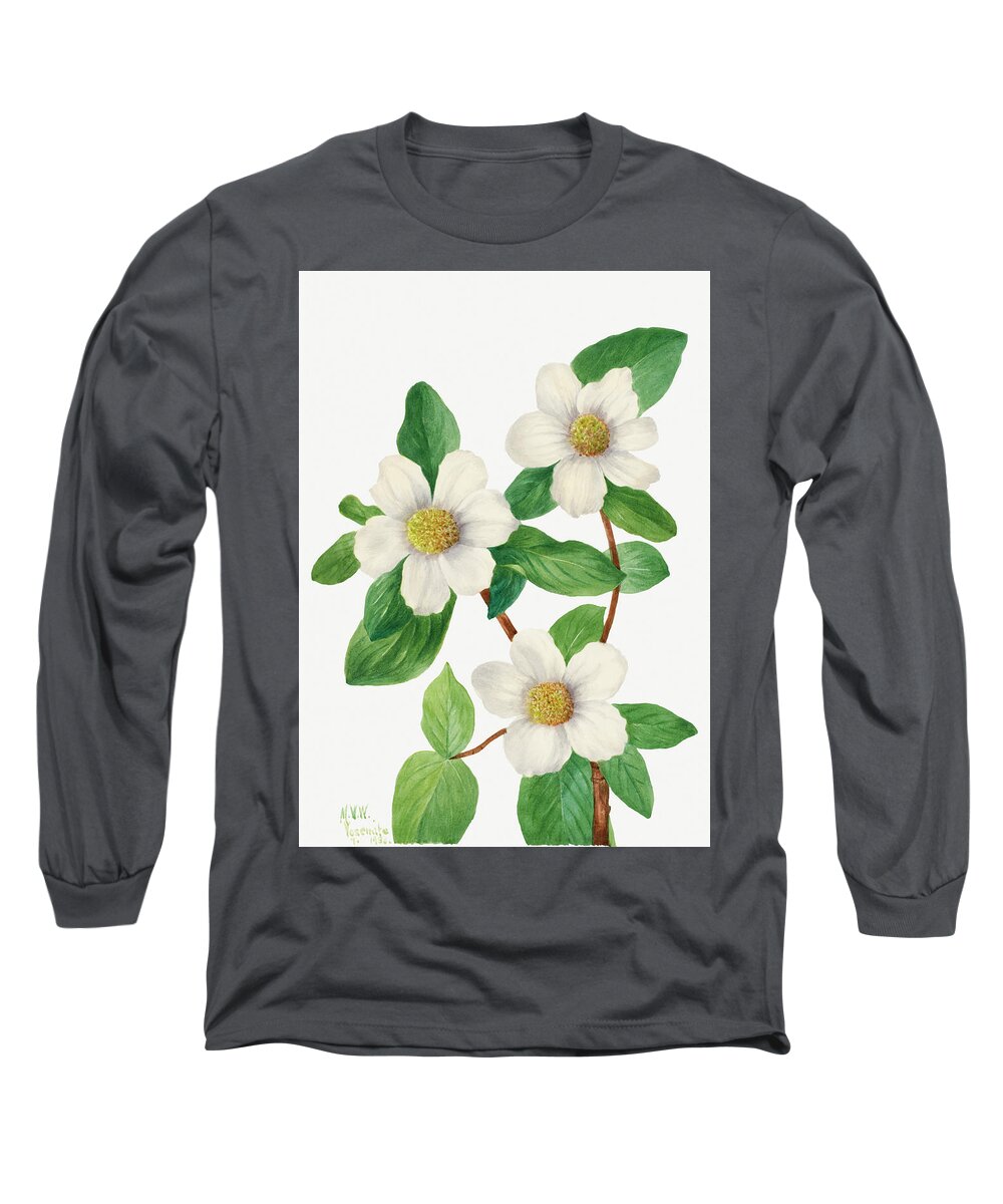 Pacific Long Sleeve T-Shirt featuring the painting Pacific Dogwood by Mary Vaux Walcott by World Art Collective