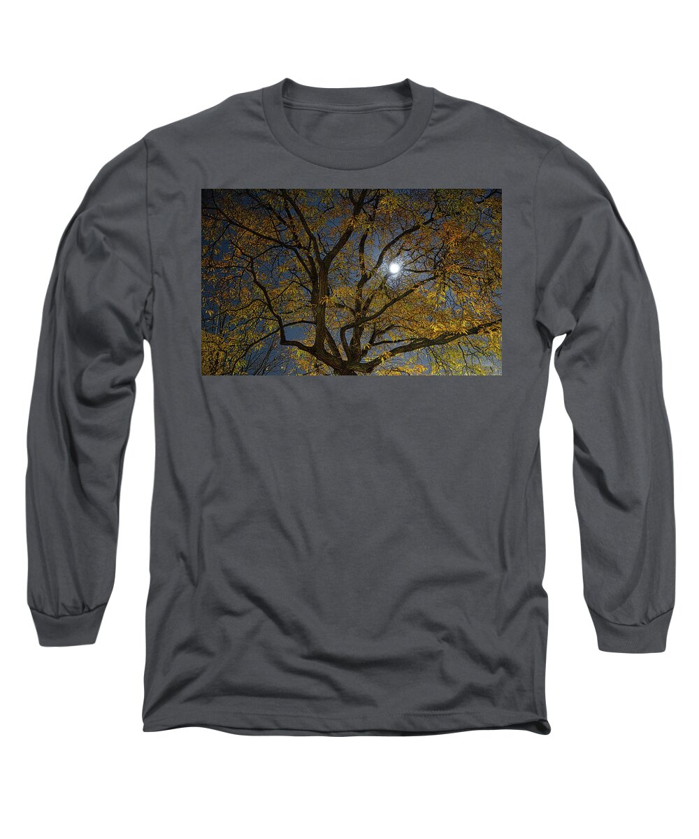 Tree Long Sleeve T-Shirt featuring the photograph Painterly Elm Tree at Night by Jim Signorelli
