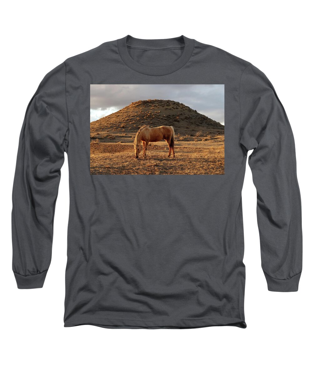Horse Long Sleeve T-Shirt featuring the photograph Palomino Gold in Early Spring by Katie Keenan