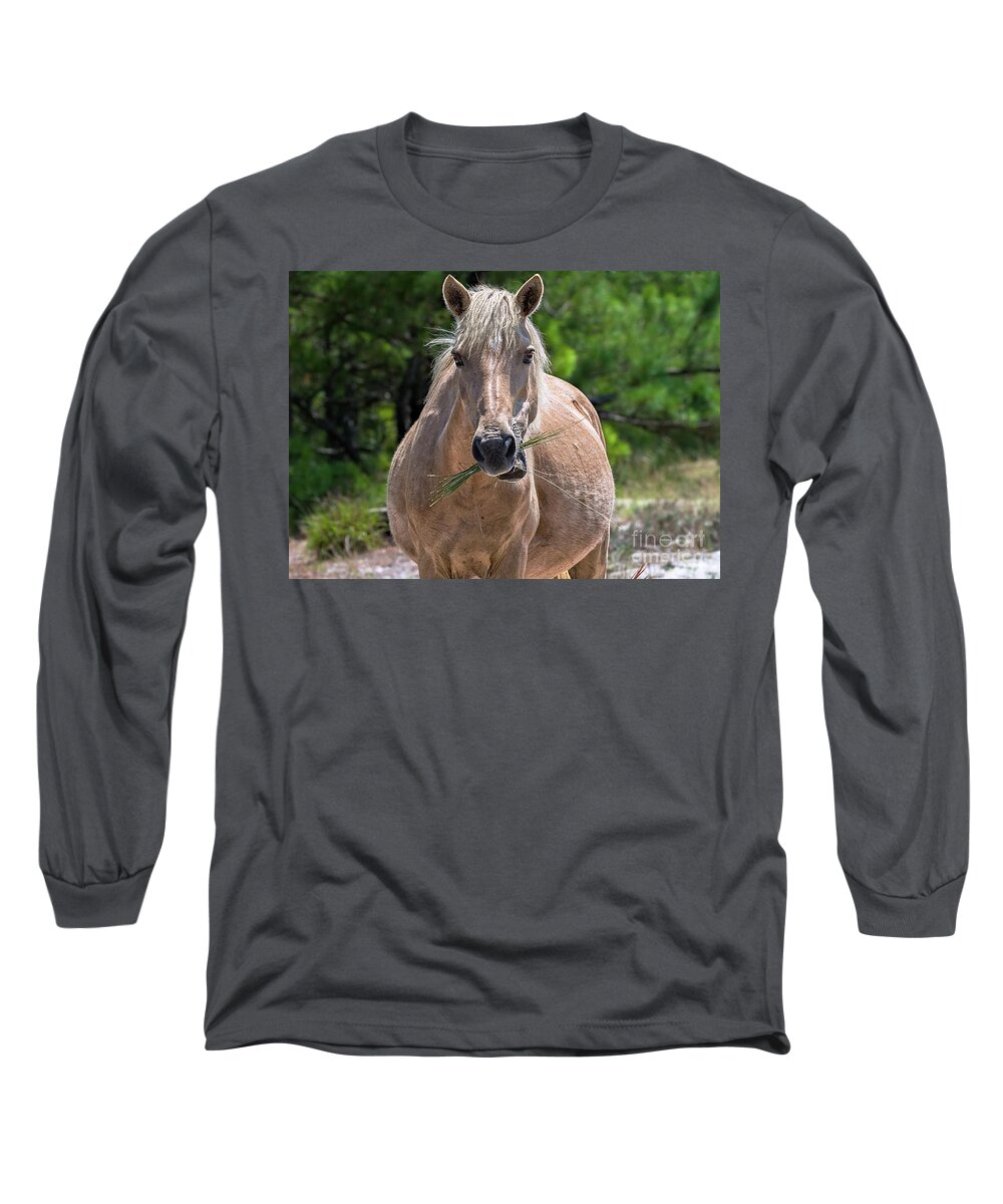 Horse Long Sleeve T-Shirt featuring the photograph Palomino horse by Rehna George