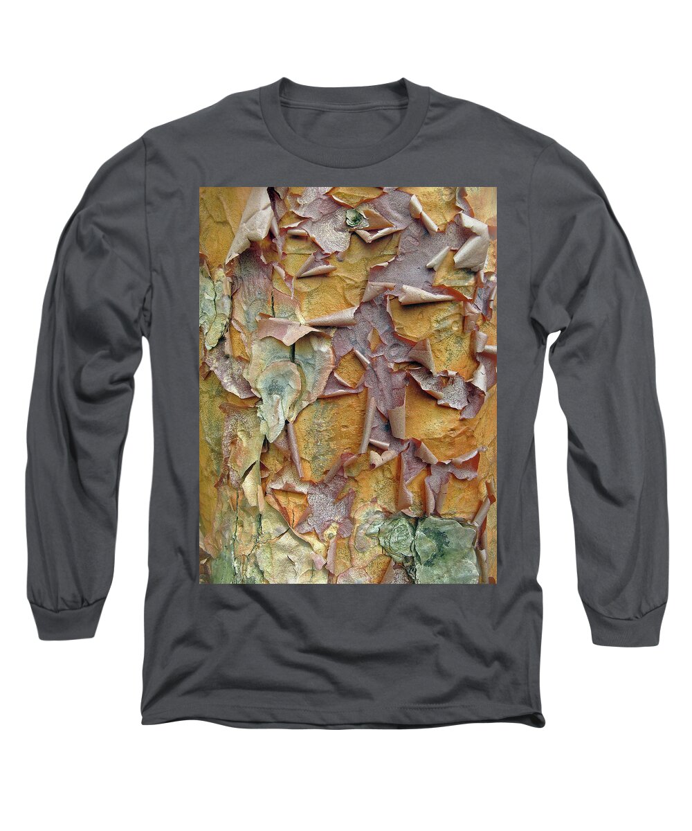 Tree Long Sleeve T-Shirt featuring the photograph Paperbark Maple Tree by Jessica Jenney