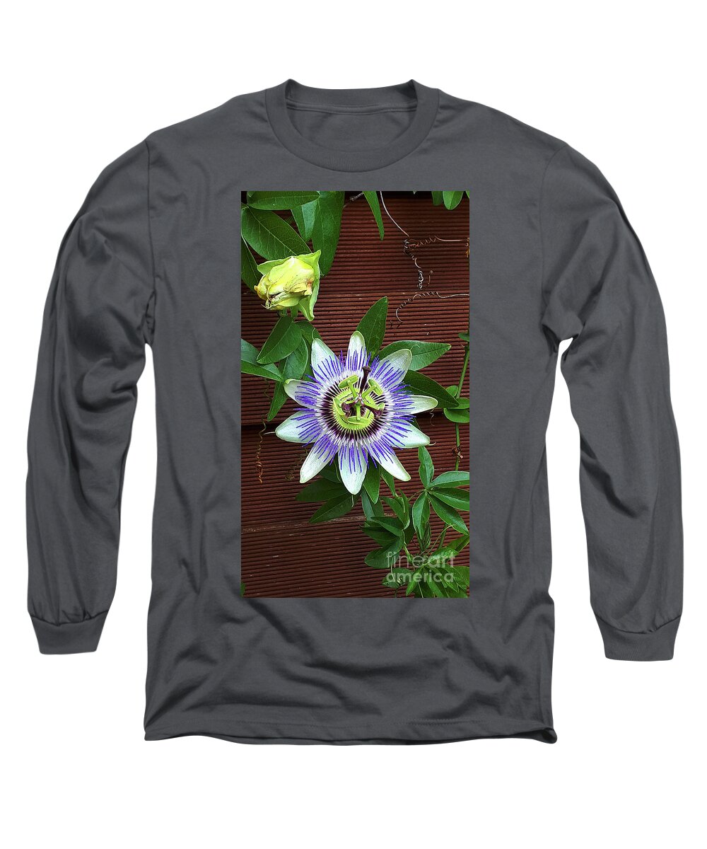 Flower Long Sleeve T-Shirt featuring the photograph Passion Flower Beauty by Brenda Kean