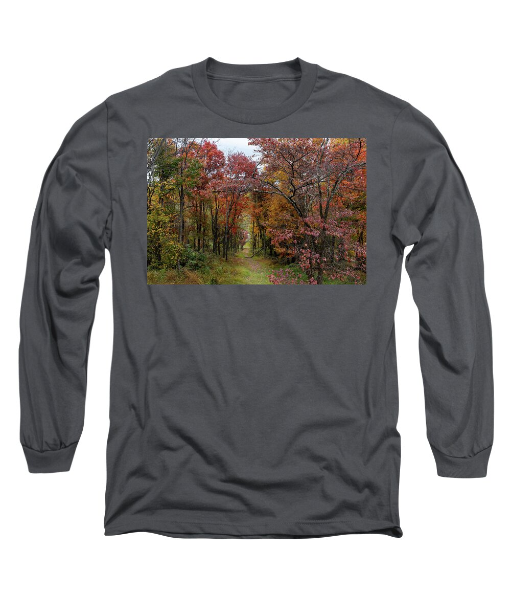 Appalachian Long Sleeve T-Shirt featuring the photograph Path to Witts Peak by Donna Twiford