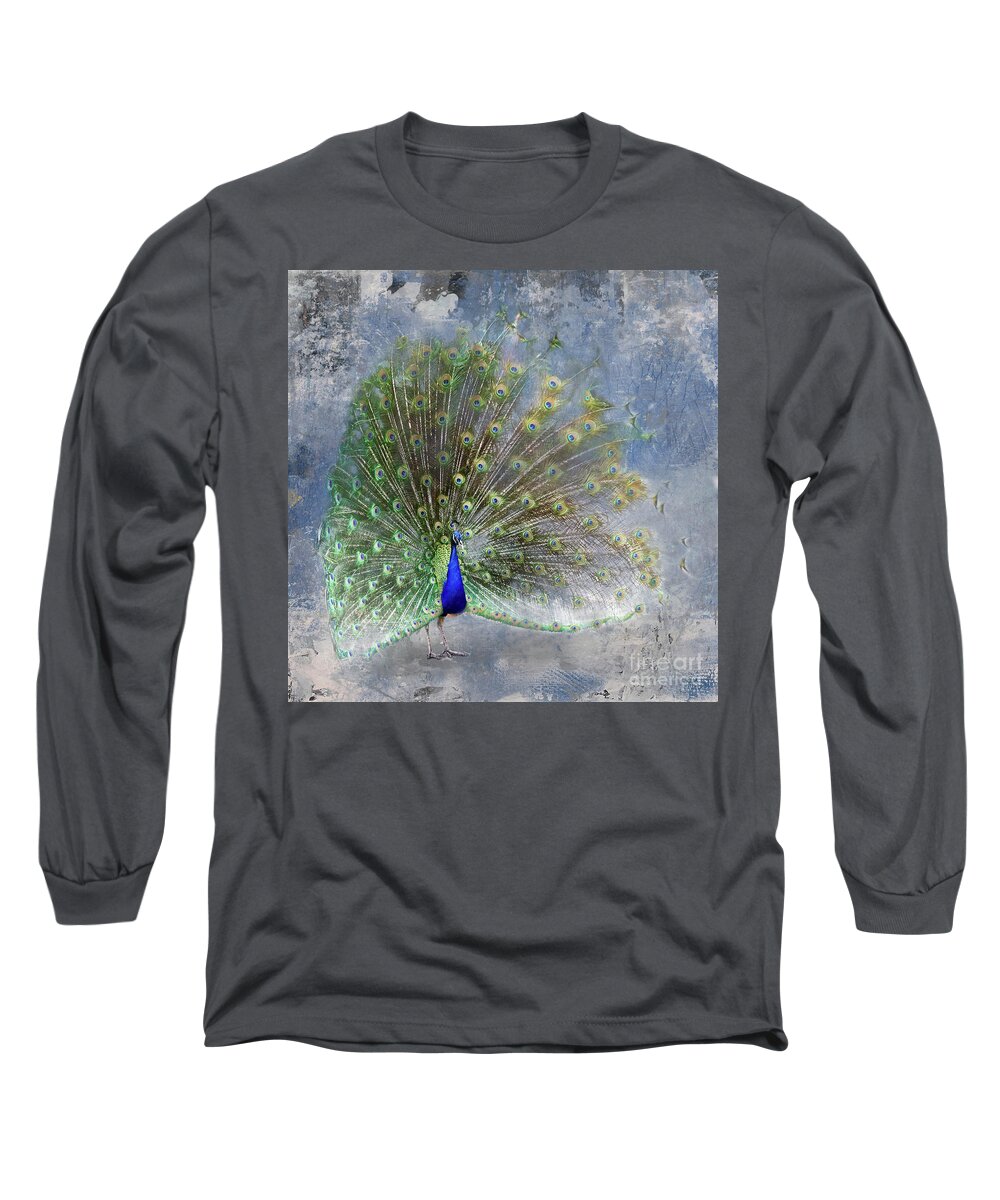 Peacock Long Sleeve T-Shirt featuring the photograph Peacock Art by Ed Taylor