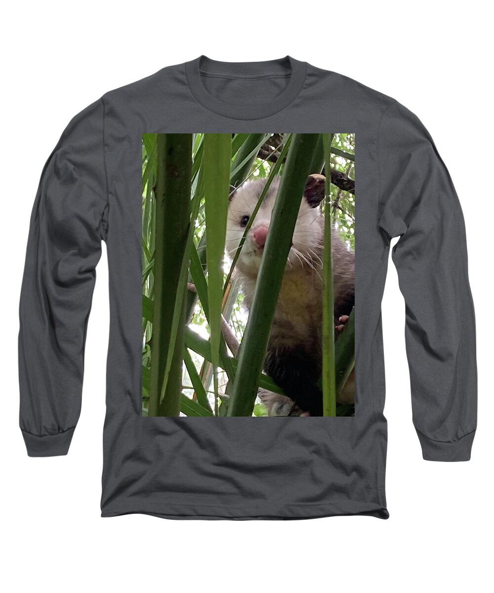 Cute Long Sleeve T-Shirt featuring the photograph Peek-a-boo possum. by Bess Carter