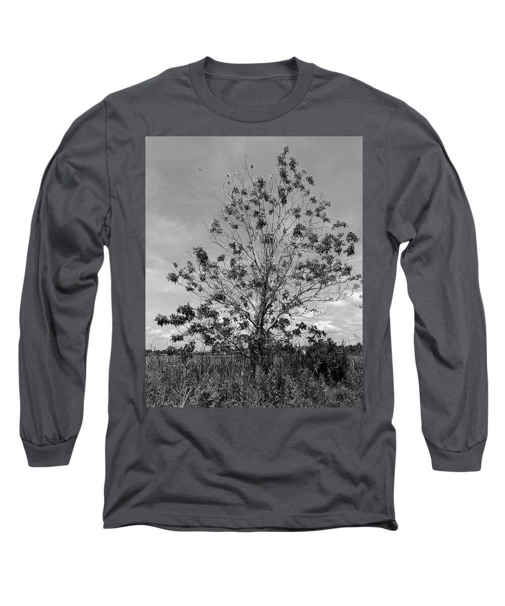 Tree Long Sleeve T-Shirt featuring the photograph Personality Disorder BW by Lee Darnell