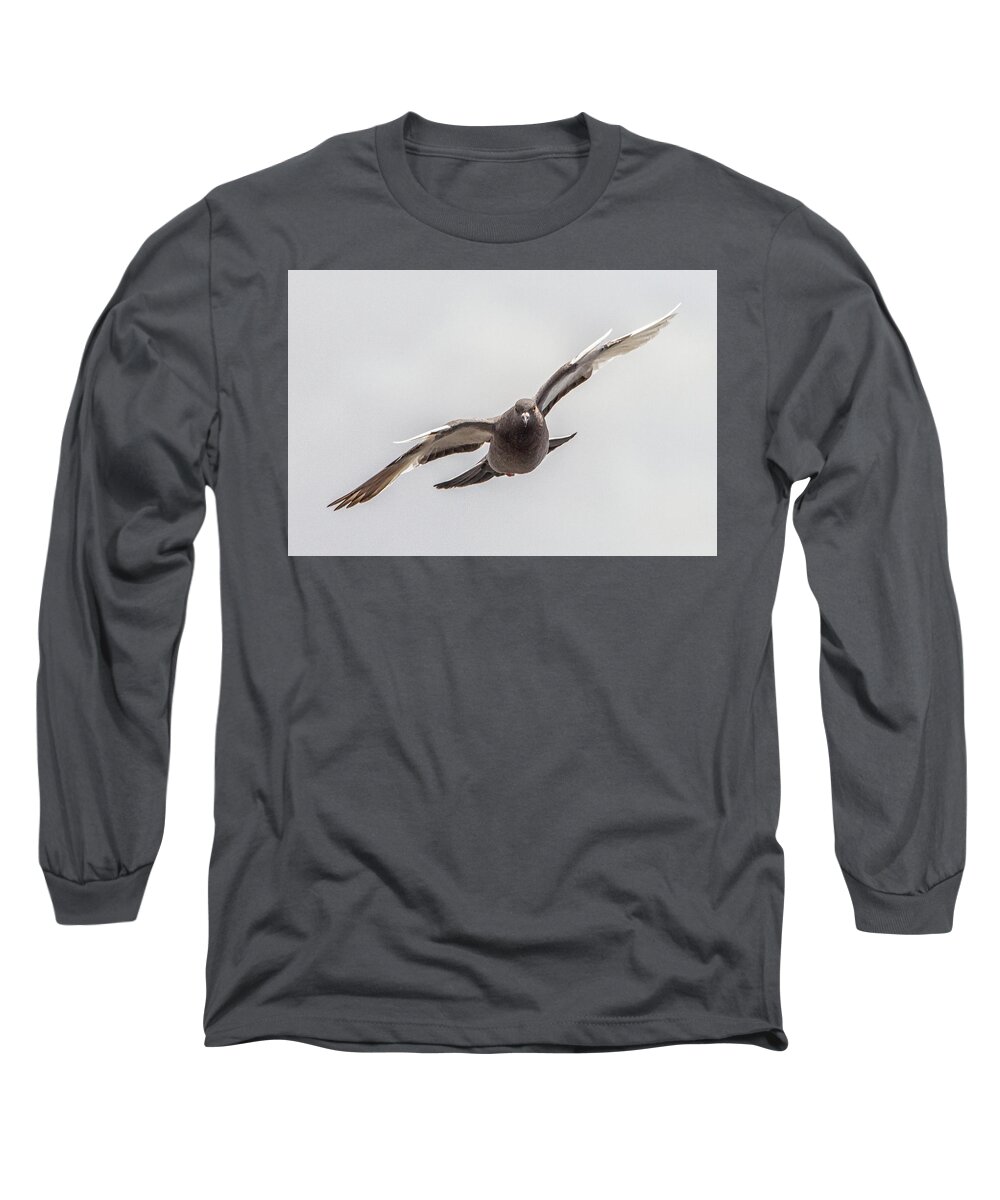 Pigeon In Flight Long Sleeve T-Shirt featuring the photograph Pigeon in Flight by Bob Decker