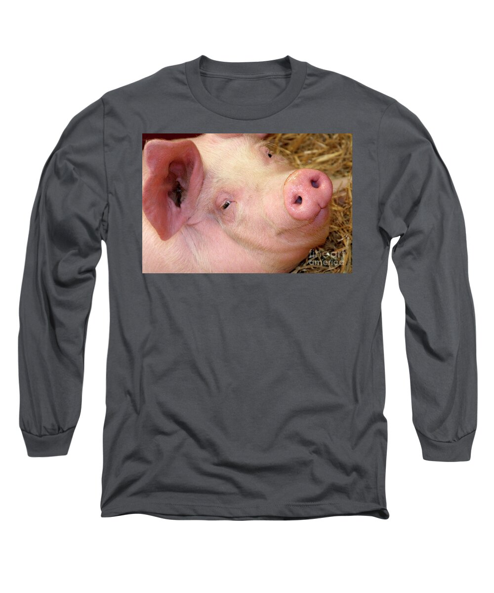 Smile Pig Cleaver Thoughtful Impersonation Face Eyes Ear Piglet Looking Up Portrait Pink Eye Contact Delicate Posing Elegant Elegance Handsome Figure Character Expressive Charming Singular Beautiful Stylish Striking Solo Solitary Lonely Loner Pretty Delightful Enjoying Funny Weird Eccentric Grotesque Bizarre Peculiar Acquaintance Appearance Meet Talk Gentle Animal Piggy Attractive Joy Lifestyle Mysterious Creative Imaginary Smiling Inviting Loving Impression Listening Expression Understanding Long Sleeve T-Shirt featuring the photograph smiling PIGLET inviting to interaction with lovely face expression and huge ear by Tatiana Bogracheva