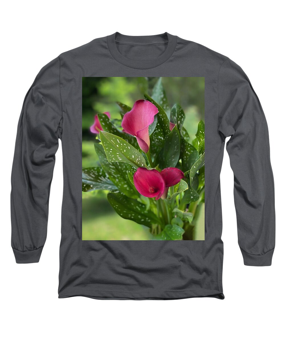 Pink Flowers Long Sleeve T-Shirt featuring the photograph Pink Calla Lilies by Jerry Abbott
