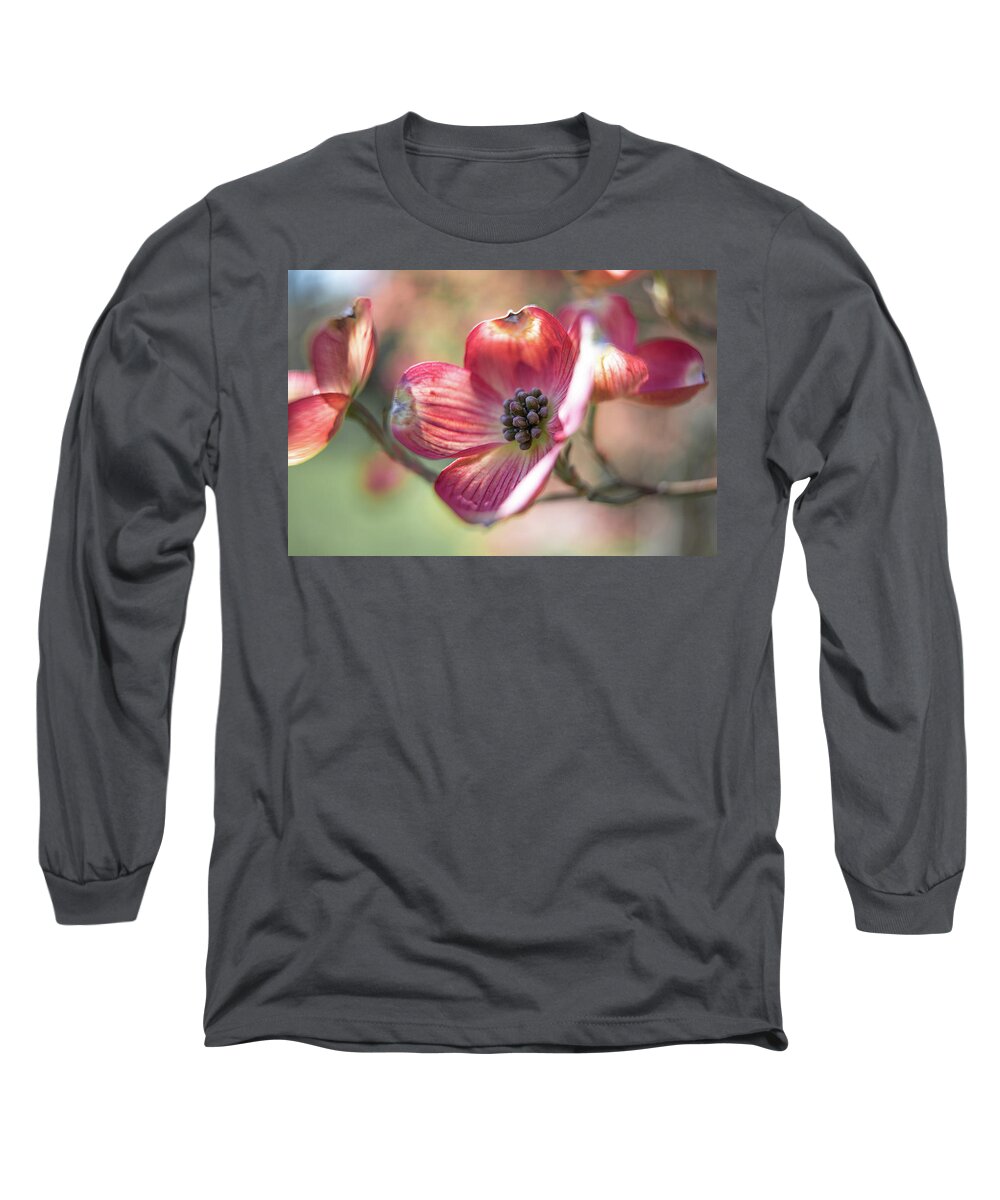 Pink Long Sleeve T-Shirt featuring the photograph Pink Dogwood by Denise Kopko
