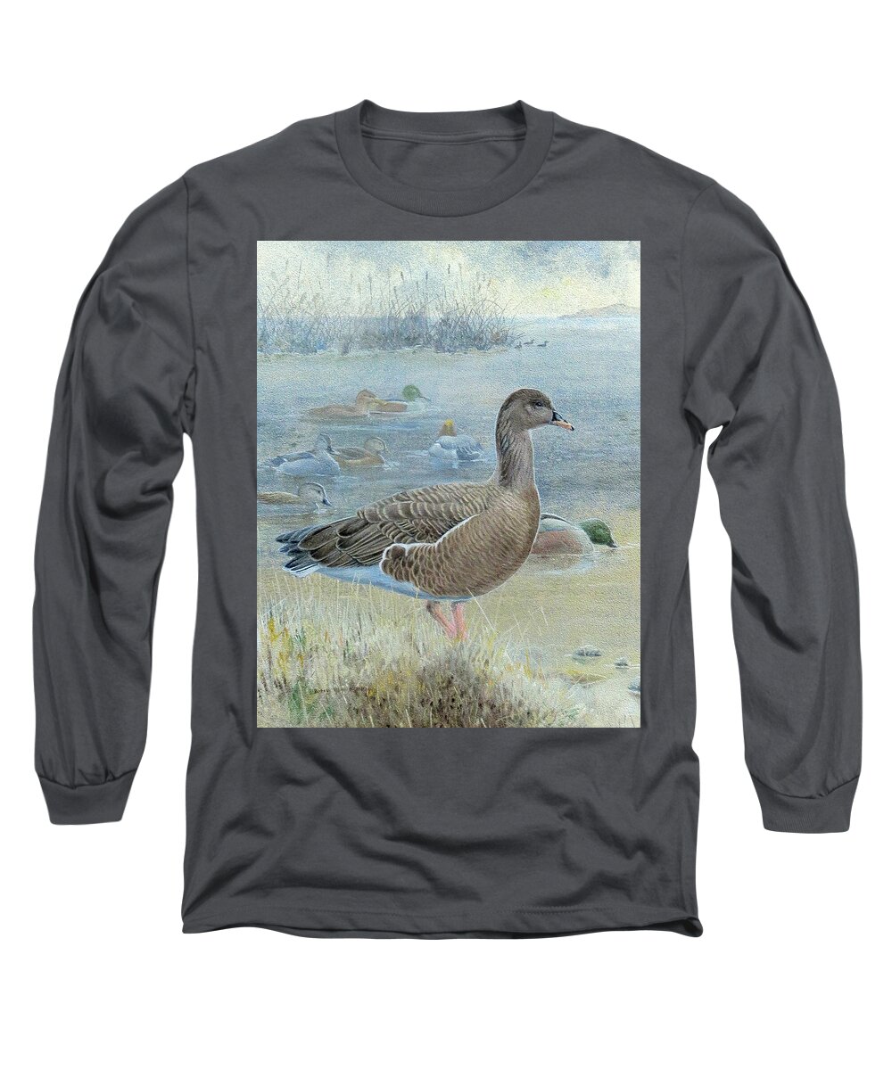 Pink-footed Goose Long Sleeve T-Shirt featuring the painting Pink-footed Goose by Barry Kent MacKay
