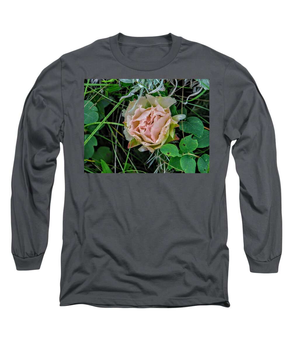 Cactus Long Sleeve T-Shirt featuring the photograph Pink Prickly Pear by Amanda R Wright
