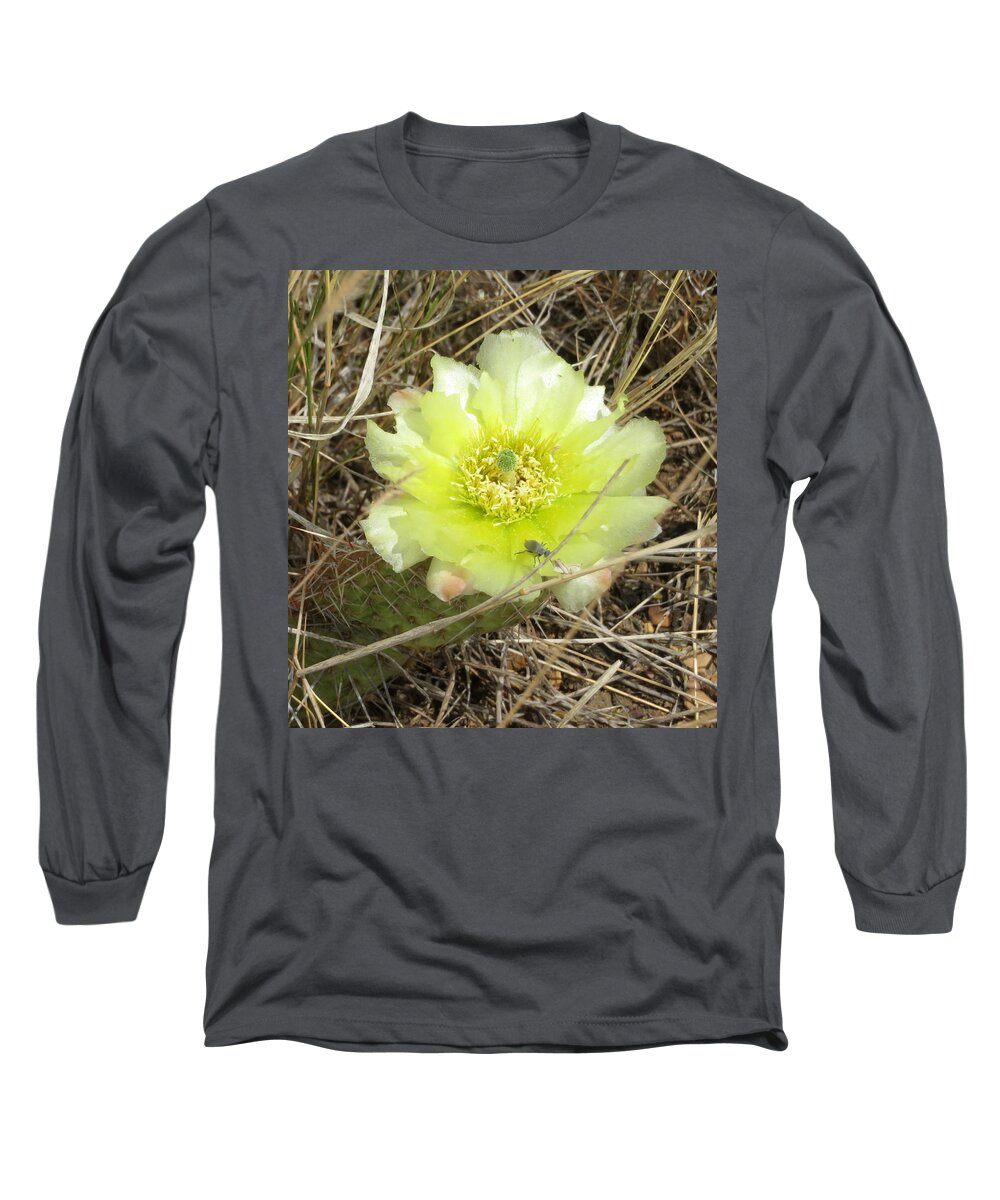 Cactus Long Sleeve T-Shirt featuring the photograph Plains Pricklypear Cactus by Katie Keenan