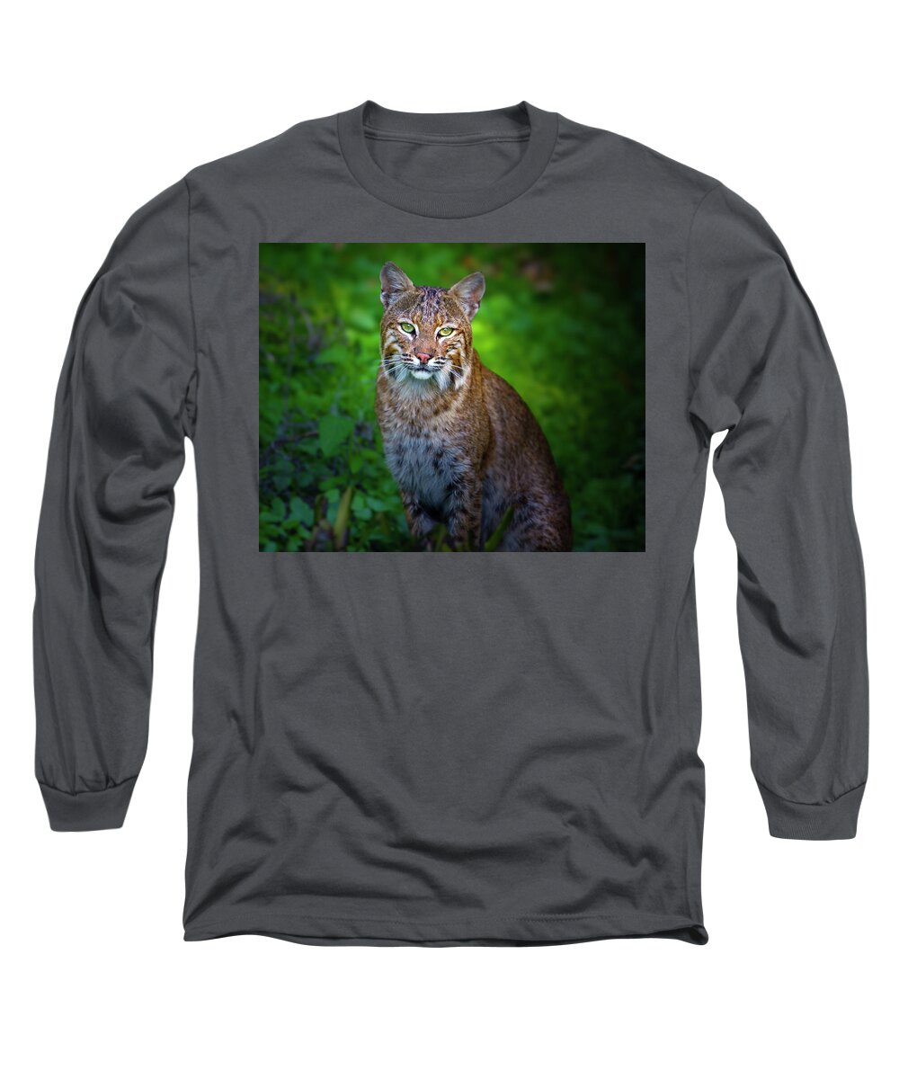 Bobcat Long Sleeve T-Shirt featuring the photograph Portrait of a Lady by Mark Andrew Thomas