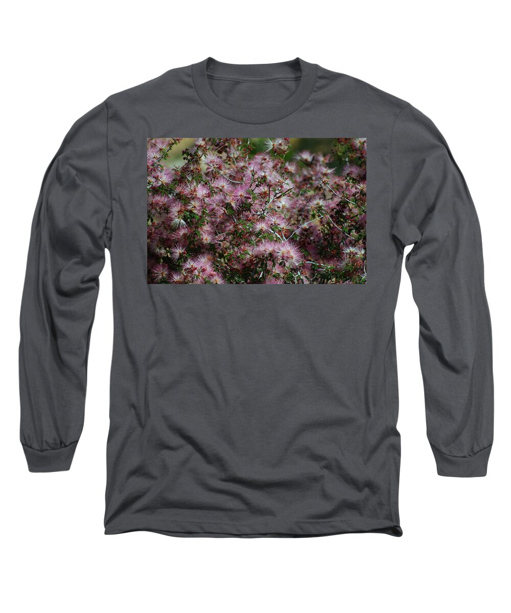 Desert-pink-powder-puff-blooms-white- Pink-wishes-landscape Desert Long Sleeve T-Shirt featuring the photograph Powder Puff Wishes by Gene Taylor