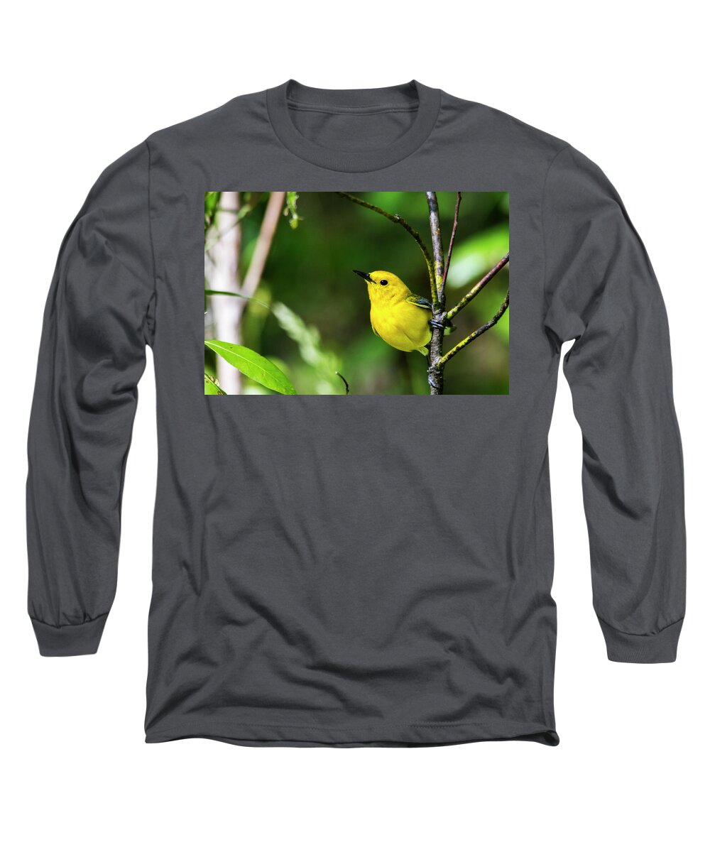 Prothonotary Warbler Long Sleeve T-Shirt featuring the photograph Prothonatary Warbler 4 by Bob Decker