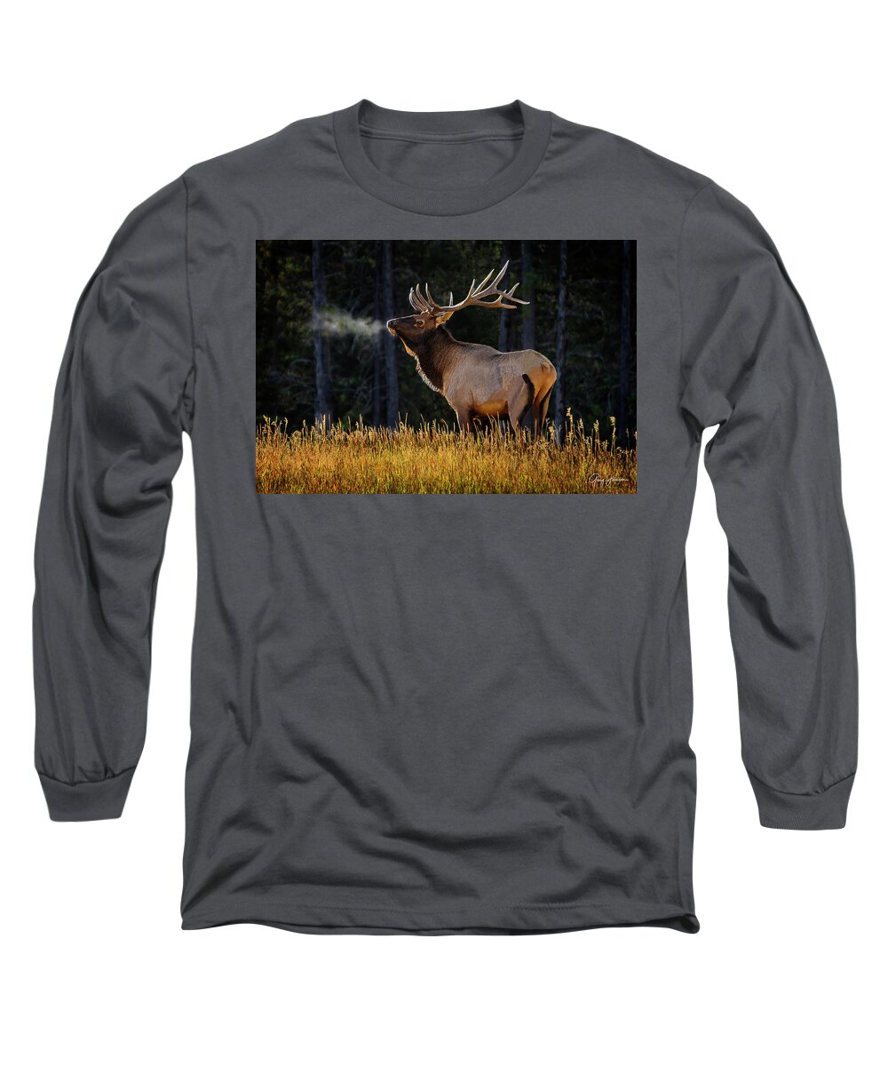 Gary Johnson Long Sleeve T-Shirt featuring the photograph Proud Bull Elk by Gary Johnson