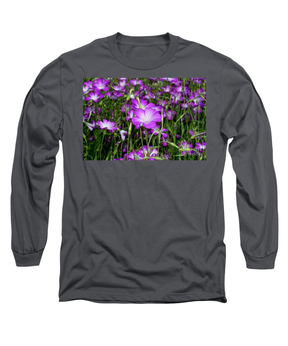 Purple Corncockle Long Sleeve T-Shirt featuring the photograph Purple Corncockle, 1 by Glenn Franco Simmons